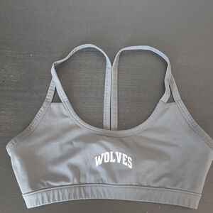 Darc Sport Gray Wolves Sports Bra